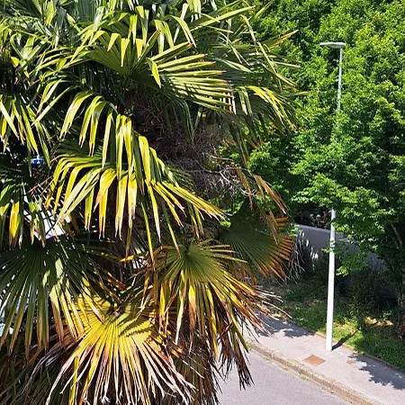 Apartman Studio Pia 20 M2 *